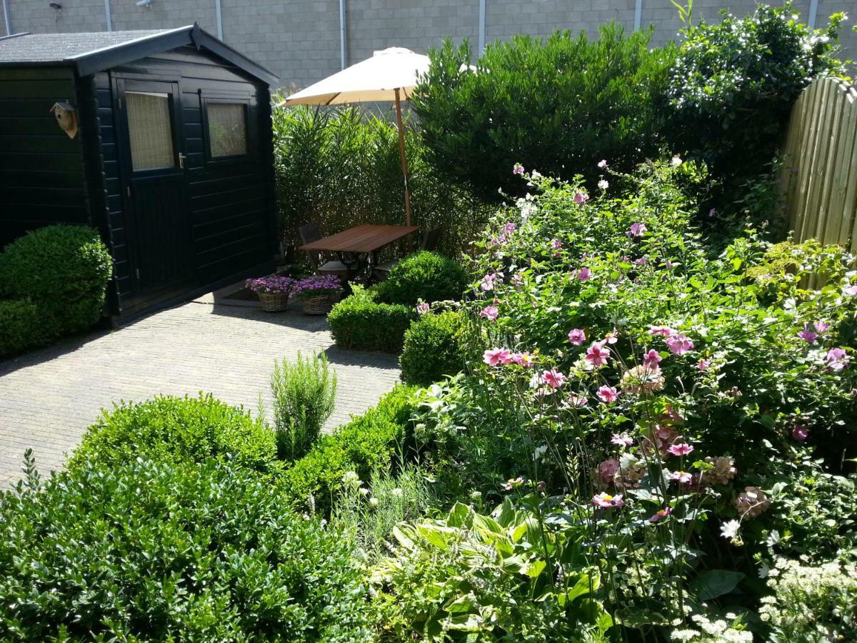 Bed & Breakfast Frans Hals Haarlem Exterior foto